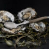 oesters met lepel laguiole style de vie
