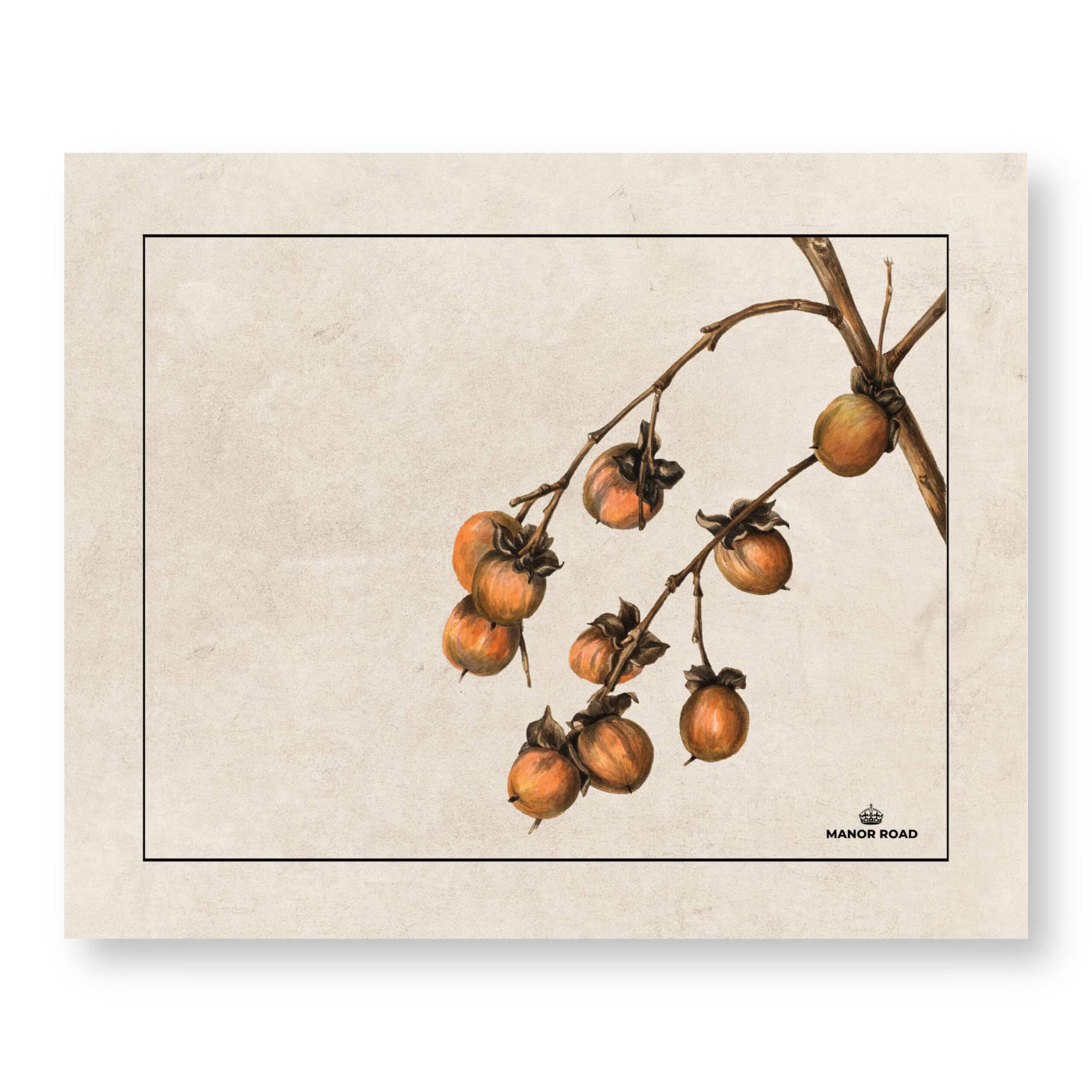 Manor Road Persimmon papieren placemat PCMT0093-30